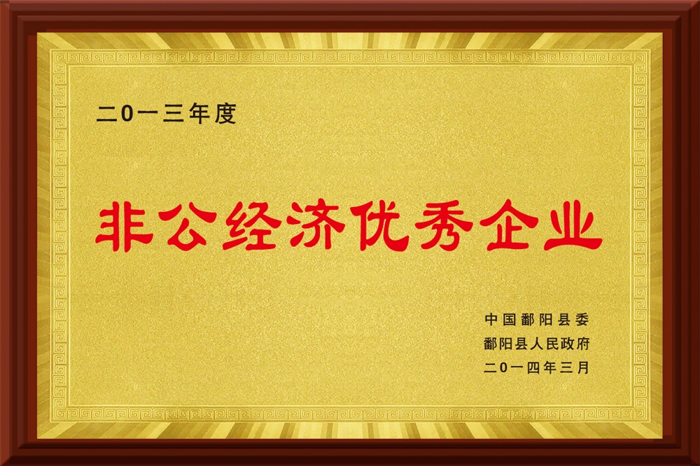 非公經(jīng)濟(jì)優(yōu)秀企業(yè)